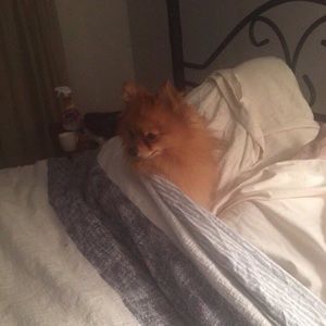 Meet your Posher, Anthony